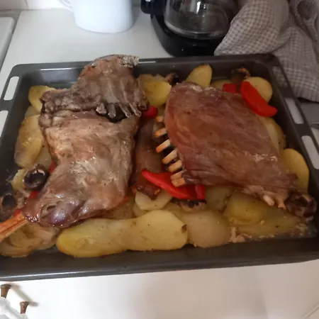 Apartament Lazarev Kucica Banja Koviljača